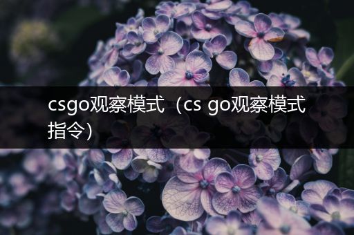 csgo观察模式（cs go观察模式指令）