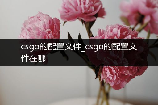 csgo的配置文件_csgo的配置文件在哪