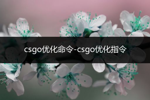 csgo优化命令-csgo优化指令