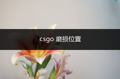 csgo 磨损位置