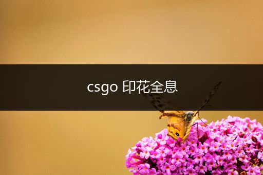 csgo 印花全息