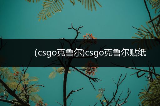 （csgo克鲁尔)csgo克鲁尔贴纸