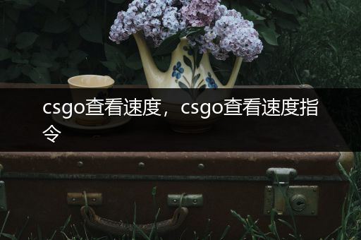 csgo查看速度，csgo查看速度指令