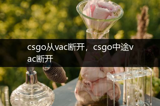 csgo从vac断开，csgo中途vac断开