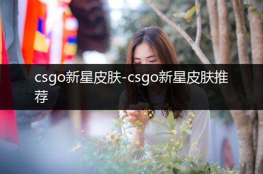 csgo新星皮肤-csgo新星皮肤推荐