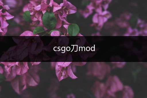 csgo刀mod