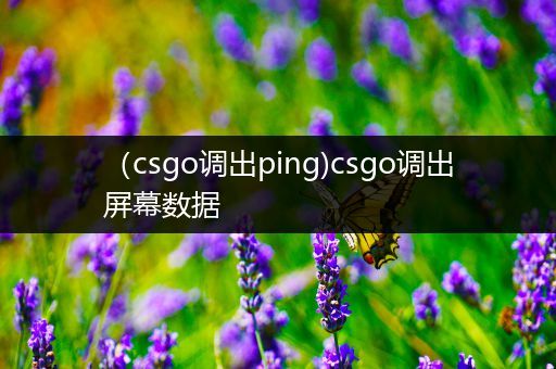 （csgo调出ping)csgo调出屏幕数据