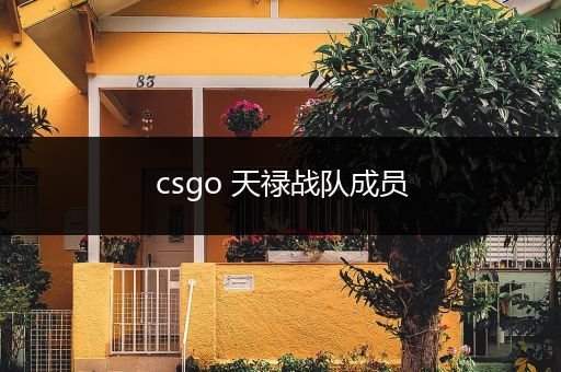 csgo 天禄战队成员