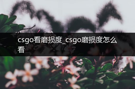 csgo看磨损度_csgo磨损度怎么看