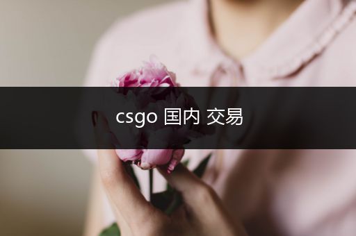 csgo 国内 交易