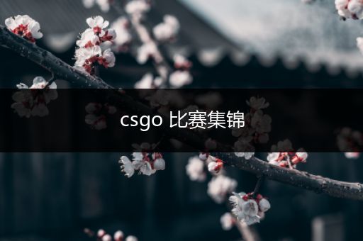 csgo 比赛集锦