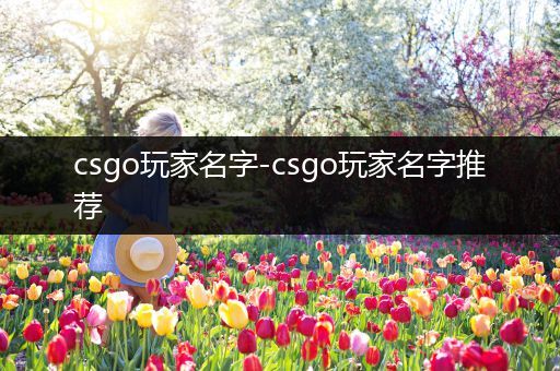 csgo玩家名字-csgo玩家名字推荐