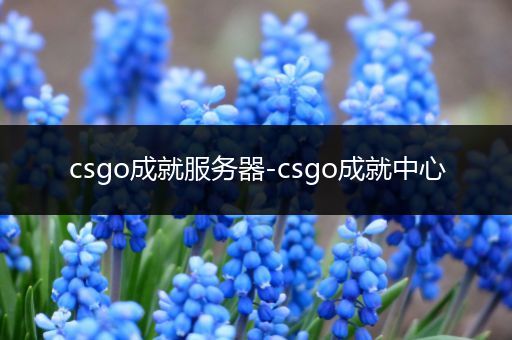 csgo成就服务器-csgo成就中心