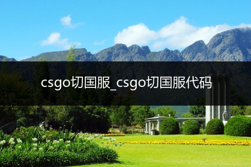 csgo切国服_csgo切国服代码