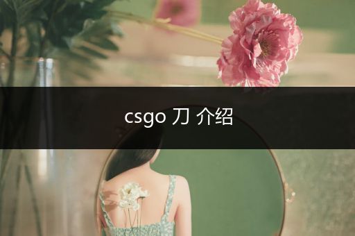 csgo 刀 介绍