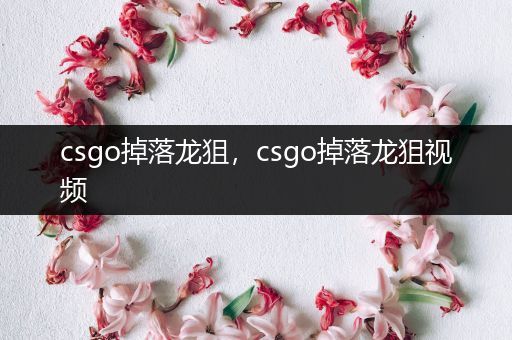 csgo掉落龙狙，csgo掉落龙狙视频