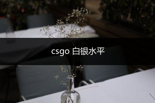 csgo 白银水平