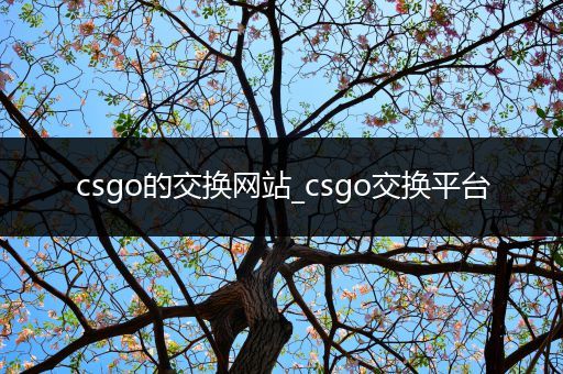 csgo的交换网站_csgo交换平台