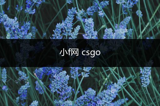 小f网 csgo