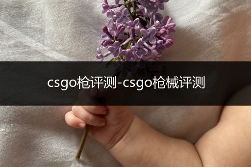 csgo枪评测-csgo枪械评测