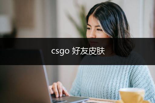 csgo 好友皮肤