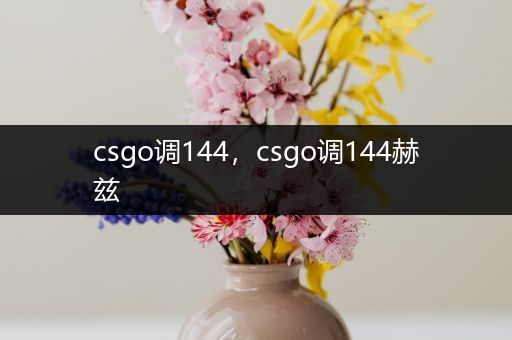 csgo调144，csgo调144赫兹