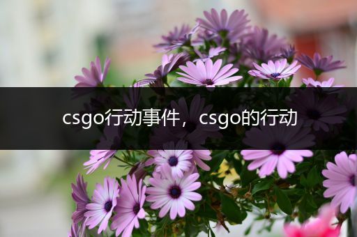 csgo行动事件，csgo的行动