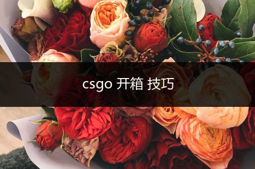 csgo 开箱 技巧