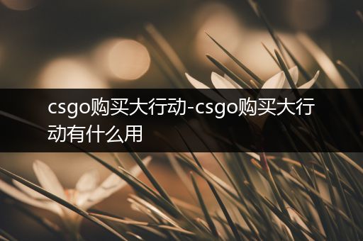 csgo购买大行动-csgo购买大行动有什么用