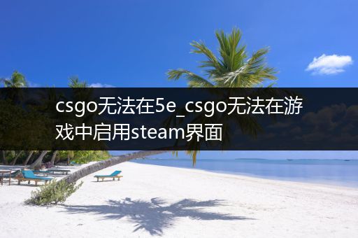 csgo无法在5e_csgo无法在游戏中启用steam界面