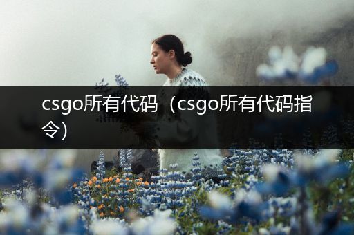 csgo所有代码（csgo所有代码指令）