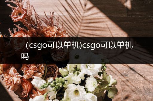 （csgo可以单机)csgo可以单机吗