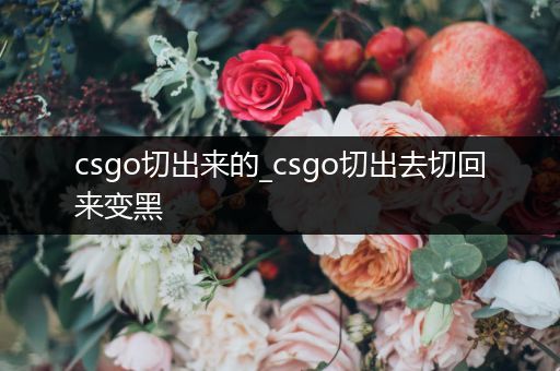 csgo切出来的_csgo切出去切回来变黑