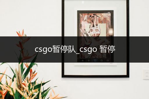 csgo暂停队_csgo 暂停