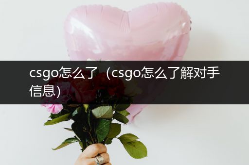 csgo怎么了（csgo怎么了解对手信息）