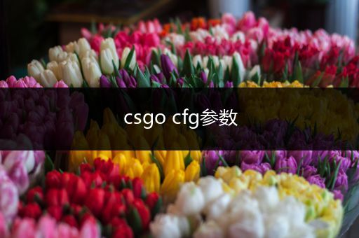 csgo cfg参数