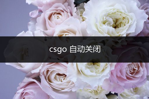 csgo 自动关闭