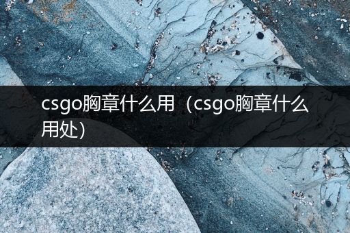 csgo胸章什么用（csgo胸章什么用处）