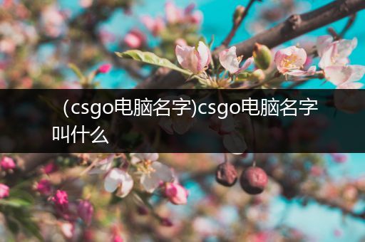 （csgo电脑名字)csgo电脑名字叫什么