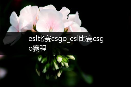 esl比赛csgo_esl比赛csgo赛程