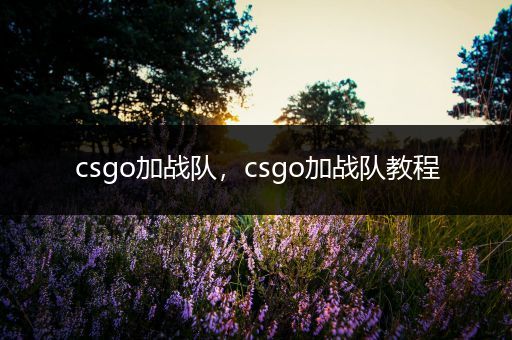 csgo加战队，csgo加战队教程