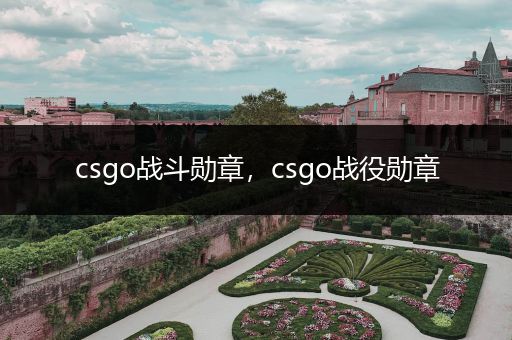 csgo战斗勋章，csgo战役勋章