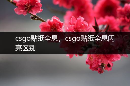 csgo贴纸全息，csgo贴纸全息闪亮区别