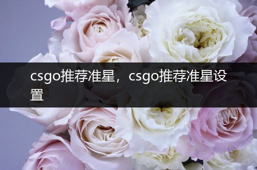 csgo推荐准星，csgo推荐准星设置