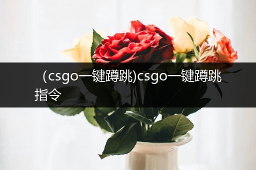 （csgo一键蹲跳)csgo一键蹲跳指令