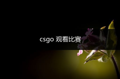 csgo 观看比赛