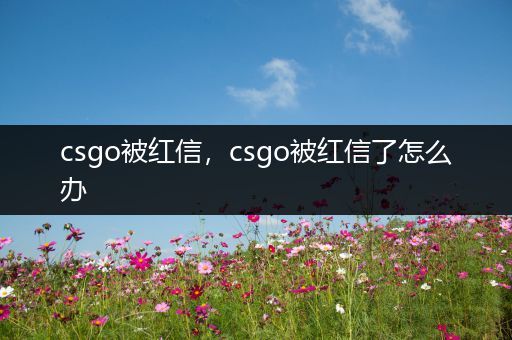 csgo被红信，csgo被红信了怎么办