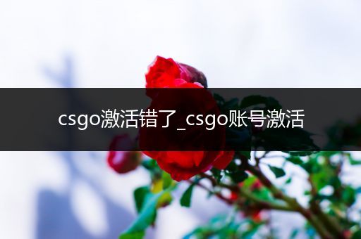 csgo激活错了_csgo账号激活