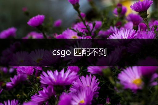 csgo 匹配不到