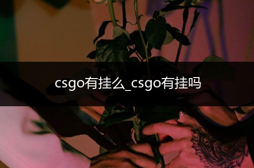 csgo有挂么_csgo有挂吗